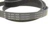 Комплект ременя генератора Land Rover Discovery/Range Rover 2.0D 14- INA 529 0426 10 (фото 9)