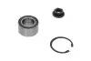 Підшипник маточини (передньої) Ford Fiesta -08 (+ABS) PARTS KAVO WBK-4536 (фото 4)