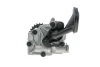 Насос масляний Renault Laguna II/ Scenic II/III 1.9 dCi 05- (24z) = 5338100000 NPR 191 038 0011 00 (фото 3)
