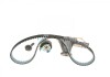 Комплект ГРМ + помпа Ford Mondeo/C-Max/Focus/Kuga/Transit Connect 1.5/1.6 EcoBoost 10- (22x117z) 1 987 946 905 BOSCH 1987946905 (фото 2)