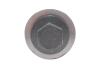 Комплект ГРМ + помпа Ford Mondeo/C-Max/Focus/Kuga/Transit Connect 1.5/1.6 EcoBoost 10- (22x117z) 1 987 946 905 BOSCH 1987946905 (фото 9)