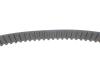 Комплект ГРМ + помпа Citroen Jumpy/Peugeot Expert 2.0HDi/Fiat Scudo 2.0 JTD 99-06 (25x144z) 1 987 946 961 BOSCH 1987946961 (фото 9)