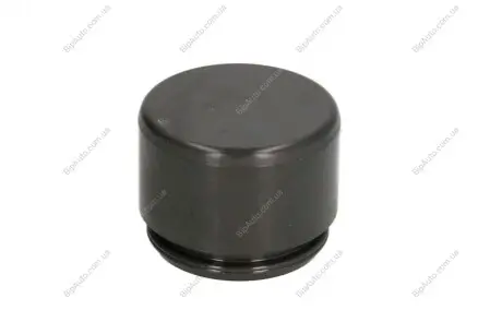 Поршень циліндра супорта AUTOFREN D025255
