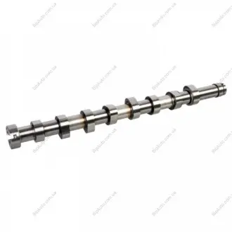 CITROEN вал розподільчий Berlingo,C3/4/5,DS,Jumpy,Peugeot,Ford C-Max II,Fiesta VI,Focus III,Mondeo IV 1.6HDI/TDCi BLUE PRINT ADBP610002 (фото 1)