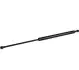Амортизатор, заднє скло Renault Megane I,Renault Scénic I JP GROUP 4381202300 4381202300