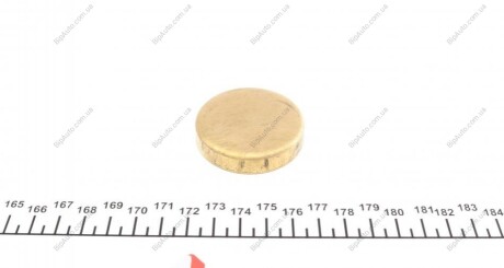 Заглушка блоку циліндрів (d=47mm) Латунь/Brass IMPERGOM 40984