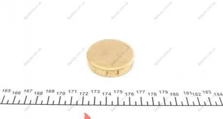 Заглушка блоку циліндрів (d=47mm) Латунь/Brass IMPERGOM 40984
