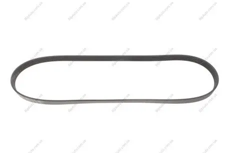 Ремінь генератора Renault Kangoo 1.5 dCi Gates 6PK1200 (фото 1)