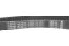 Комплект ГРМ + помпа Skoda Octavia 96-10/VW Golf IV/Bora 96-05/Audi A4 1.8/1.8T 95-03 (23x150z) 1 987 946 493 BOSCH 1987946493 (фото 14)