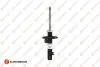 EUROREPAR Амортизатор пер. лів.(газ.) Citroen C3 II (51mm) 1635532080 EUROREPAR 1635532080