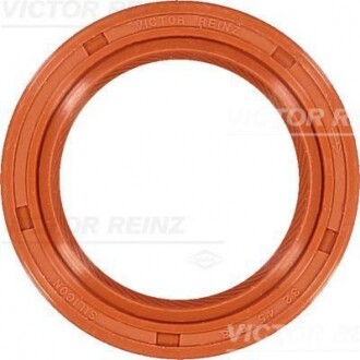 REINZ VICTOR REINZ 81-38343-00