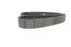Ремінь ГРМ Audi A3/A4/A6/A7/Q2/Q3/Q5/Skoda Octavia/VW Golf VIII 2.0D/2.0DH 15- (25x149z) 1 987 946 822 BOSCH 1987946822 (фото 4)