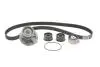 Комплект ГРМ + помпа Opel Frontera/Vectra B/Omega B 2.2 i 95-03 (24x171z) BOSCH 1 987 946 901 1987946901