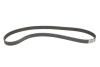 Комплект ГРМ + помпа Opel Frontera/Vectra B/Omega B 2.2 i 95-03 (24x171z) 1 987 946 901 BOSCH 1987946901 (фото 14)