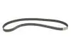 Комплект ГРМ + помпа Opel Frontera/Vectra B/Omega B 2.2 i 95-03 (24x171z) 1 987 946 901 BOSCH 1987946901 (фото 14)