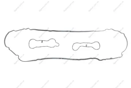 Прокладка кришки клапанів BMW 5 (F10/G30)/X5 (F15/G05) 4.4i (N63/S63) 11- (5-8 циліндр) (к-кт) GAZO GZ-A3034