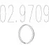 Монтажне кільце вихлопної системи 02.9709