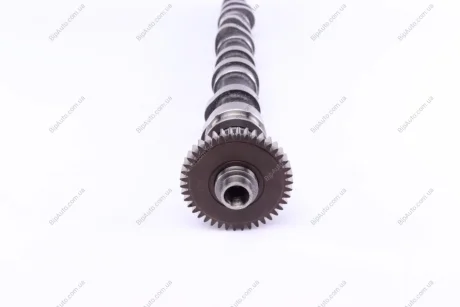 Розподільний вал VW Caddy III/IV/ T5/T6/ Crafter 30-50 2.0 TDI 10- (сторона випуску) (чавунний) AMC 647391