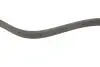 Ремінь генератора Ford Focus II/C-Max/Volvo C30/S40 II/V50 1.8/2.0 04-12 (6PK1249) 1 987 946 173 BOSCH 1987946173 (фото 3)