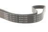 Ремінь генератора Ford Focus II/C-Max/Volvo C30/S40 II/V50 1.8/2.0 04-12 (6PK1249) 1 987 946 173 BOSCH 1987946173 (фото 4)