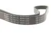 Ремінь генератора Ford Focus II/C-Max/Volvo C30/S40 II/V50 1.8/2.0 04-12 (6PK1249) 1 987 946 173 BOSCH 1987946173 (фото 4)