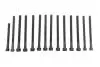 Болти головки (к-кт 14шт.) BMW X3 E83/X5 E70/130i/E81/330i E92 N52 3.0 04- N51-N53 FEBI BILSTEIN 178284