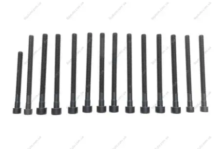 Фото 1 - болти головки (к-кт 14шт.) BMW X3 E83/X5 E70/130i/E81/330i E92 N52 3.0 04- N51-N53 FEBI BILSTEIN 178284 Болти головки (к-кт 14шт.) BMW X3 E83/X5 E70/130i/E81/330i E92 N52 3.0 04- N51-N53 FEBI BILSTEIN 178284 (фото 1)