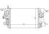 OP MERIVA 2010 Інтеркулер  1.4 ECOTEC OLA4575 OLA4575