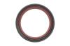 Комплект ланцюга OPEL Z10XE/Z12XE/Z14XEP із шестернями. INA 559 1821 41 (фото 9)