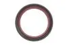 Комплект ланцюга OPEL Z10XE/Z12XE/Z14XEP із шестернями. INA 559 1821 41 (фото 9)