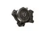 FAST FT57147 Водяна помпа Citroen/Fiat/Peugeot 3.0HDI 04-06- FT57147