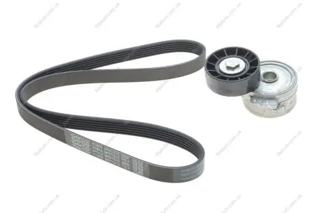 Комплект ременя генератора Citroen Jumpy/Fiat Scudo/Peugeot Expert 2.0HDi 04- (6PK1215) DAYCO KPV179 (фото 1)