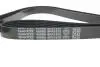 Комплект ременя генератора Citroen Jumpy/Fiat Ducato/Peugeot Boxer 2.2HDi 06- (6PK1670) DAYCO KPV338 (фото 4)