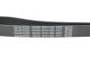 Ремінь генератора Mitsubishi ASX/Lancer 1.8 DI-D 10- DAYCO 6PK1485 (фото 4)