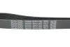 Ремінь генератора Mitsubishi ASX/Lancer 1.8 DI-D 10- DAYCO 6PK1485 (фото 4)
