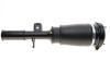 Подушка пневмопідвіски (спереду) BMW X5 (E53) 00-06 (R) BOGAP B3426101 (фото 3)