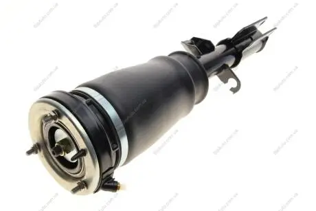 Фото 1 - подушка пневмопідвіски (спереду) BMW X5 (E53) 00-06 (R) BOGAP B3426101 Подушка пневмопідвіски (спереду) BMW X5 (E53) 00-06 (R) BOGAP B3426101 (фото 1)