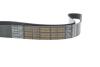 Ремінь генератора MB SLR (R199) 04- M155 (8PK1240) DAYCO 8PK1240HD (фото 4)