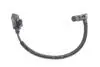 Датчик положення розподільного валу Citroen Berlingo/Jumpy/Peugeot Expert/Partner 1.6 HDi 07- 0 986 280 760 BOSCH 0986280760 (фото 1)