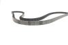 Ремінь генератора Toyota Land Cruiser/Nissan Terrano 3.0/4.0 82-95 DAYCO 13A1400HD (фото 3)