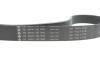 Комплект ременя генератора BMW 3 (G20/G80/G28)/5 (G30/F90) 2.0DH 19- B47 (8PK1162) INA 529 0568 10 (фото 4)