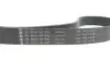 Комплект ременя генератора BMW 3 (G20/G80/G28)/5 (G30/F90) 2.0DH 19- B47 (8PK1162) INA 529 0568 10 (фото 4)