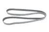 Ремінь генератора Scania G 04-/K-series 10- (10PK2475) BOSCH 1 987 947 079 1987947079