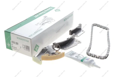 Комплект ланцюга насосу оливного Hyundai H-1/Kia Sorento 2.5 CRDi 01- INA 558 0155 20 (фото 1)