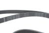 Комплект ременя генератора VW T5/T6 2.0 TDI 09- (6PK 1555) INA 529 0586 10 (фото 10)
