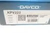- Комплект ременя поліклинового DAYCO KPV222 (фото 12)