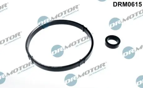 Комплект прокладок впускного колектора 2 елементи DRMOTOR DR. MOTOR DRM0615 (фото 1)