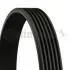 Доріжковий пас CONTITECH 6PK794ELAST 6PK794ELAST