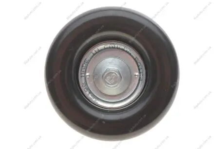Ролик генератора Ford Mondeo 1.8/2.0 00-07/Transit 2.3 16V 06-14 (паразитний) DAYCO APV2874