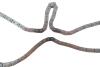 Комплект ланцюга ГРМ Toyota Rav 4 III 2.04WD/2.4 05-13, 1AZ-FE/2AZ-FE INA 559 1031 40 (фото 3)